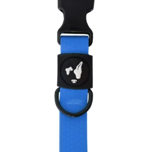 Collar Pocopano Coleira